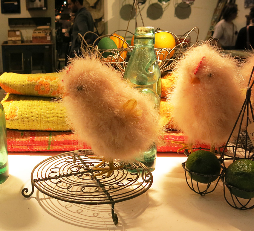 Feather chicks