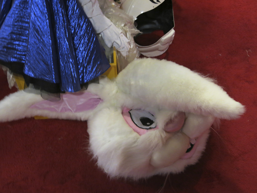 Rabbit costume