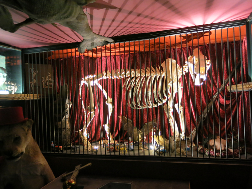 The Viktor Wynd Museum of Curiosities, Fine Art and Natural History