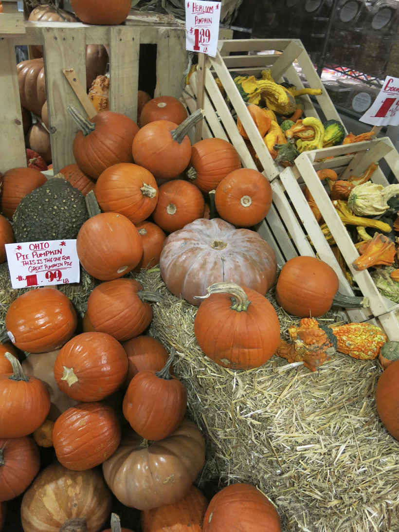 Ohio Pie Pumpkins