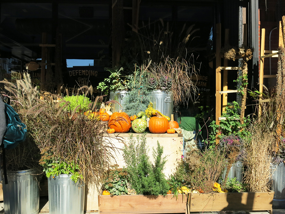 Pumpkins at Bubbys High Line